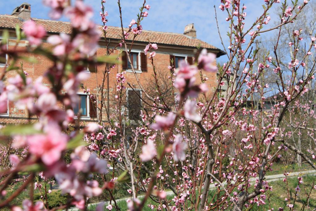 Villaromagnano B&B Di Spineto מראה חיצוני תמונה